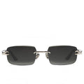 Hydra Black Tint Silver