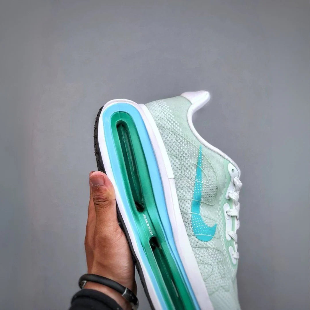 Nike Vomero Premium Verde Azul