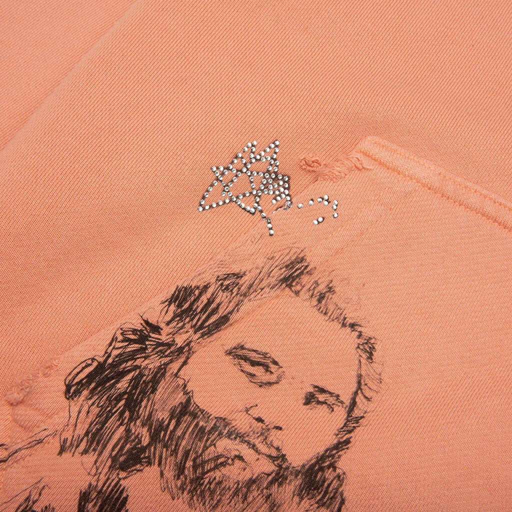 Alta Cienega Zip Hoodie Pink