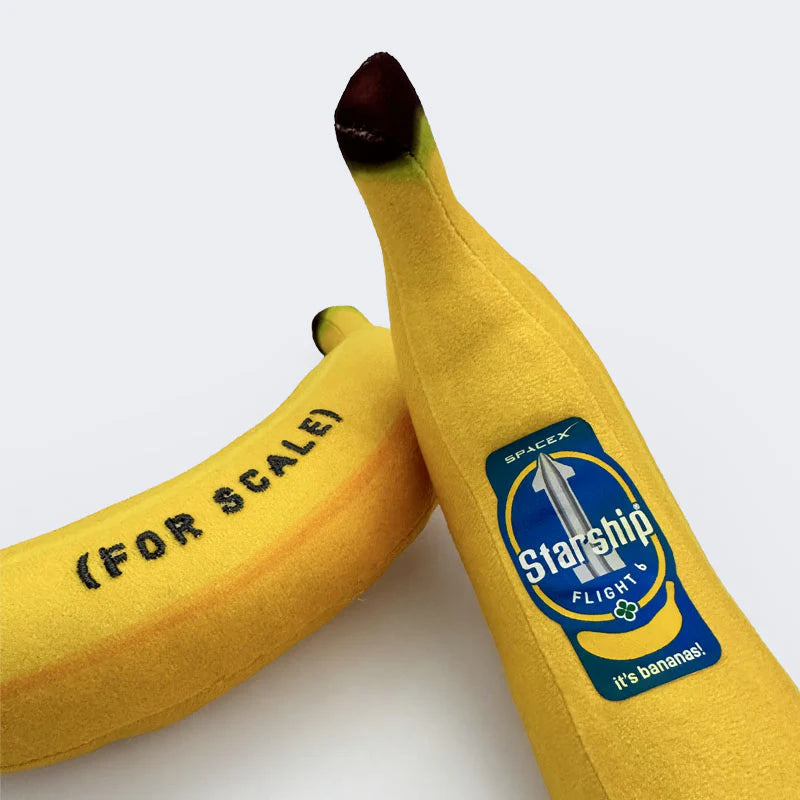 SPACEX STARSHIP FLIGHT 6 BANANA