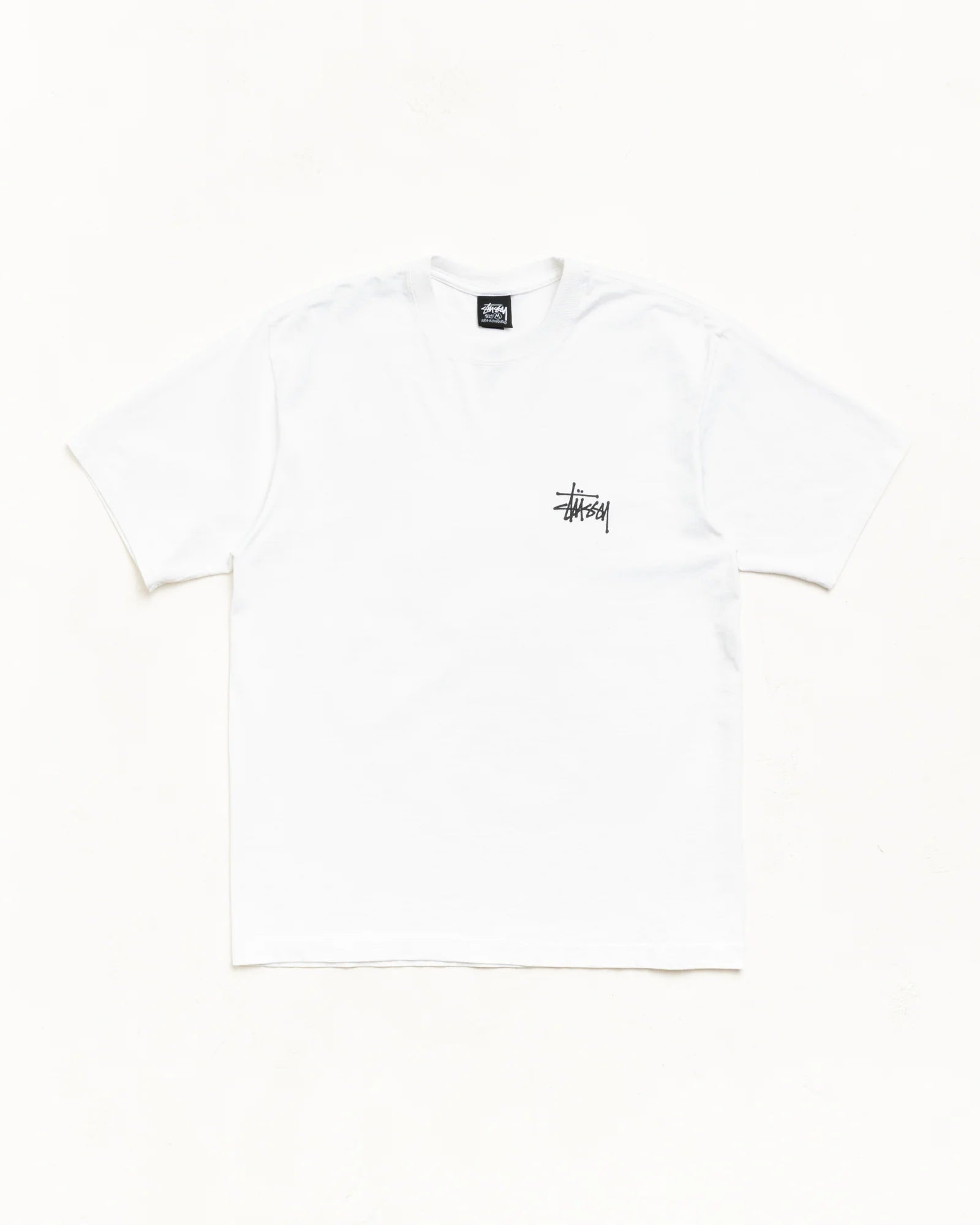BIG DOG STONE WASHED TEE