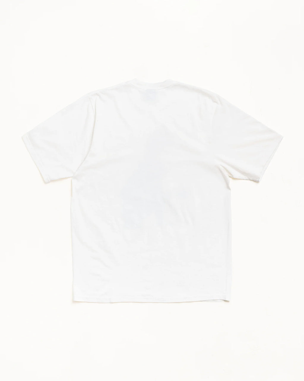 BIG MEATY TEE PIGMENT DYED