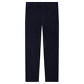 Tailored Pleats Pants Blue