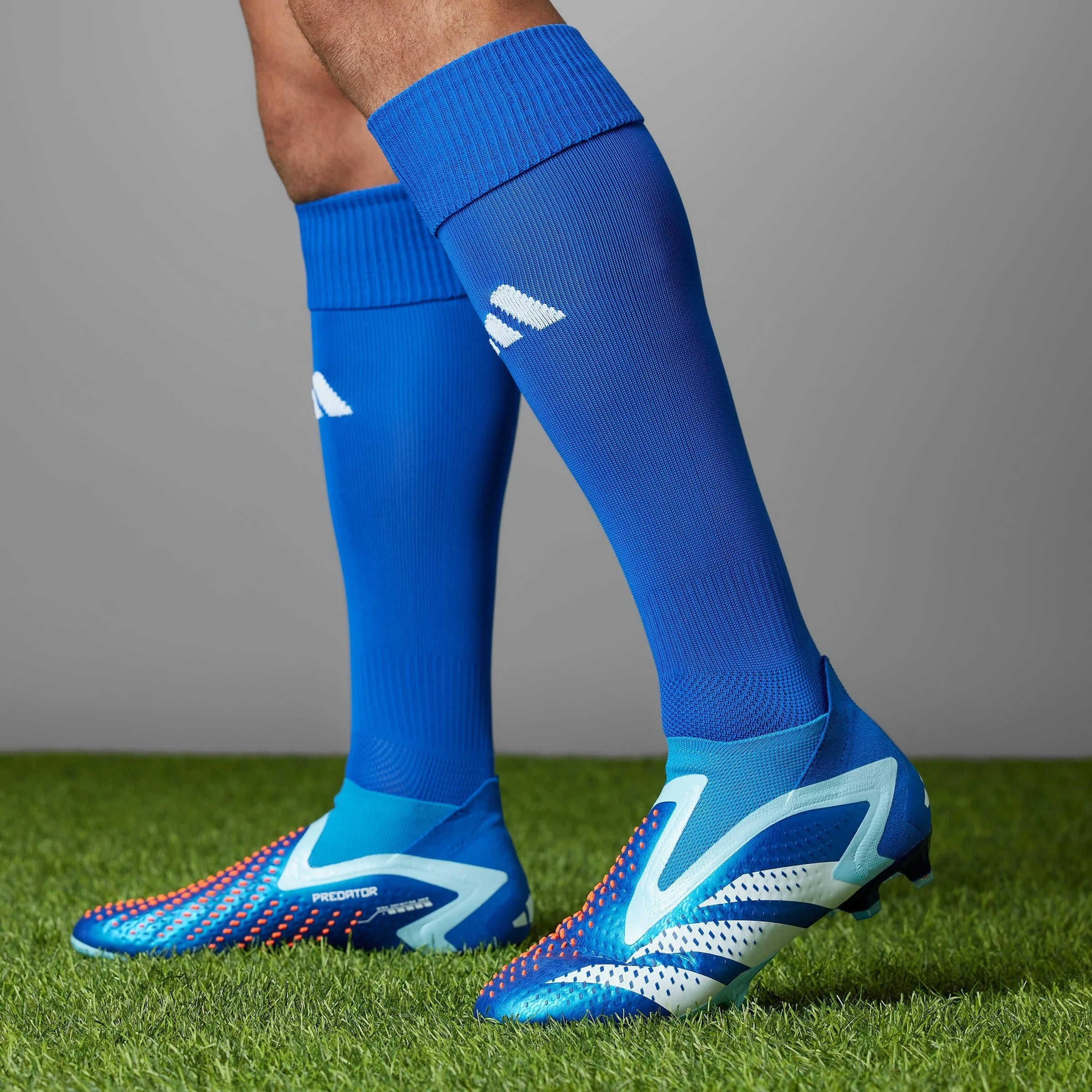 adidas Predator Accuracy FG Firm Ground Soccer Cleats Bright Royal Cloud White Bliss Blue